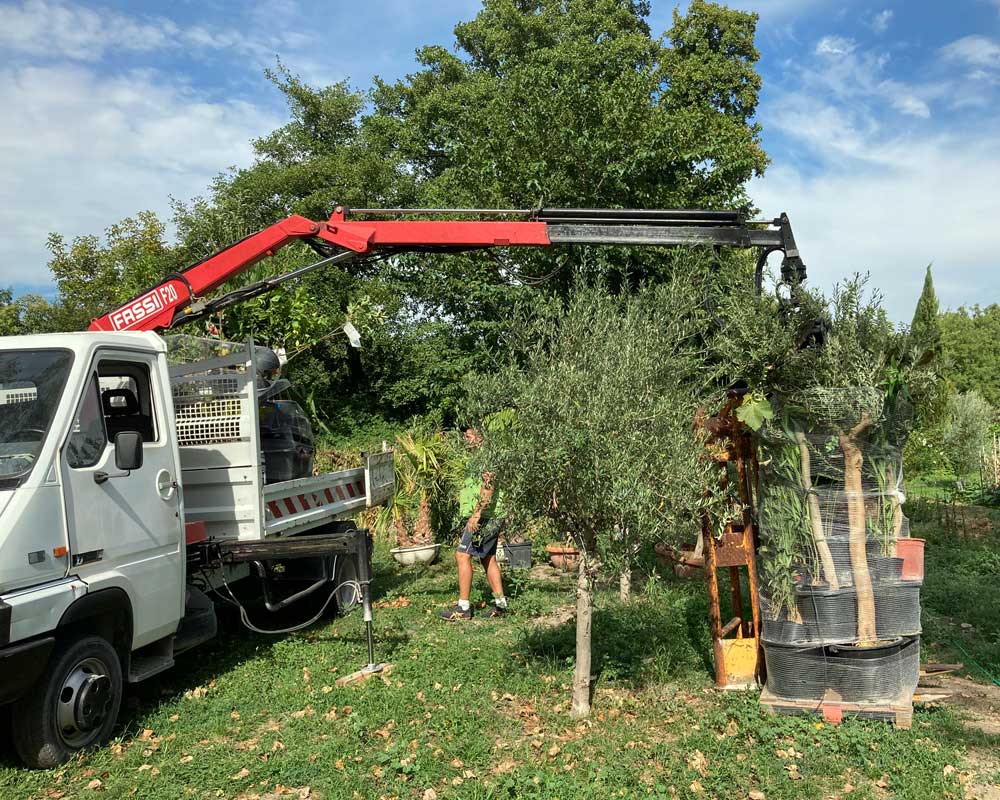 Camion-grue en action