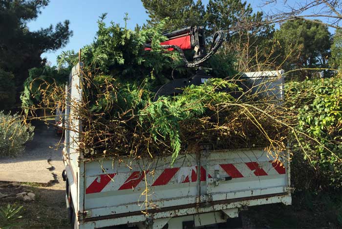 Camion-grue petit gabarit en action